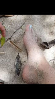 Pamela Tomé feet photo 1