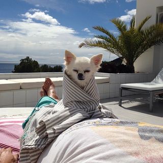 Paola Barale feet photo 3