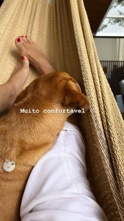 Paola Carosella feet photo 10