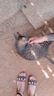 Paola Di Benedetto feet photo thumbnail