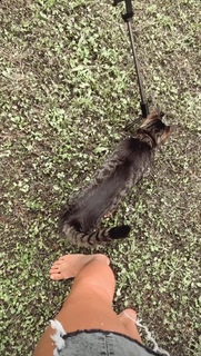 Paola Di Benedetto feet photo thumbnail