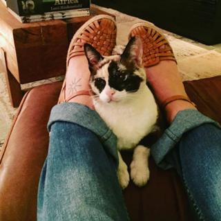 Paolla Oliveira feet photo thumbnail