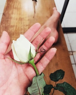 Paolla Oliveira feet photo thumbnail