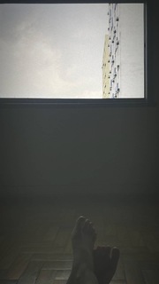 Paolla Oliveira feet photo thumbnail