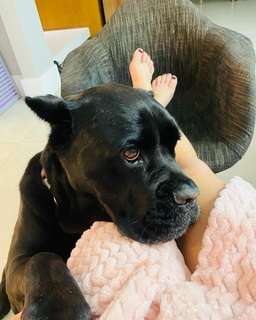 Paolla Oliveira feet photo thumbnail