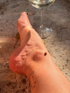 Paolla Oliveira feet photo 5