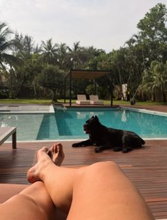 Paolla Oliveira feet photo 5