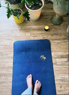 Pardis Ahmadieh feet photo 6