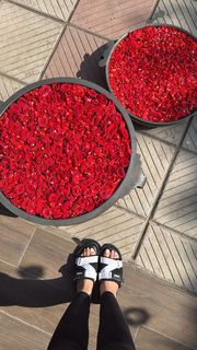Parineeti Chopra feet photo thumbnail
