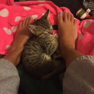 Paris Dylan feet photo 9