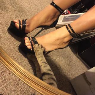 Paris Dylan feet photo 20
