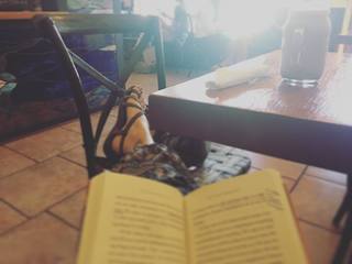 Paris Jackson feet photo thumbnail