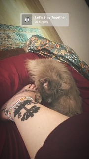 Paris Jackson feet photo thumbnail