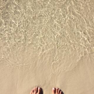 Parisa Fitz-Henley feet photo 9