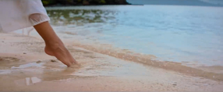 Parisa Fitz-Henley feet photo 17