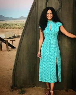 Parisa Fitz-Henley feet photo 6