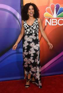 Parisa Fitz-Henley feet photo 11