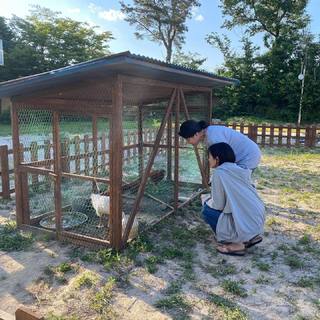 Park Gyuyoung feet photo thumbnail