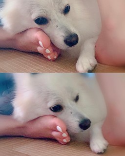 Park So-dam feet photo thumbnail