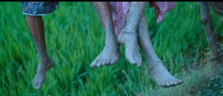 Parvathi feet photo 17