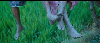 Parvathi feet photo 12