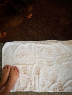 Parvathi feet photo 1