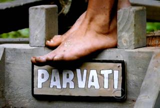 Parvati Shallow feet photo 14