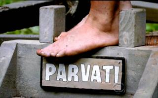 Parvati Shallow feet photo 11