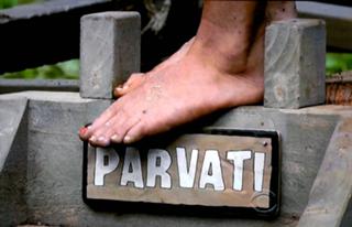 Parvati Shallow feet photo 10