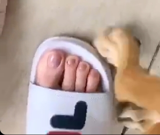 Pathy dos Reis feet photo 6