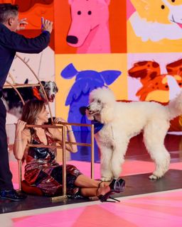 Patricia Abravanel feet photo thumbnail