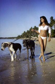 Patricia Manterola feet photo 17