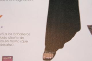 Patricia Manterola feet photo 2