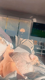 Patsy Palmer feet photo thumbnail