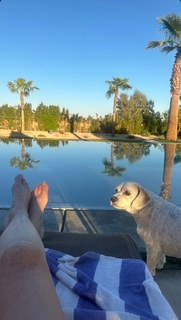 Patsy Palmer feet photo thumbnail