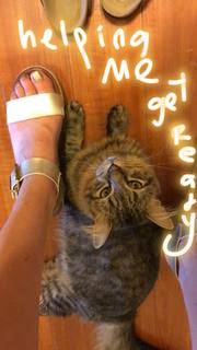 Patty Guggenheim feet photo 18
