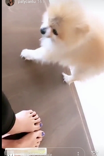 Paty Cantú feet photo thumbnail