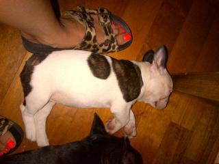 Paula Chaves feet photo thumbnail