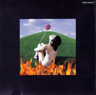 Paula Cole feet photo 5