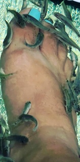 Paula Faris feet photo 2