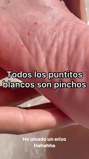 Paula Gonu feet photo 3