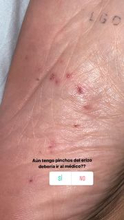 Paula Gonu feet photo 20