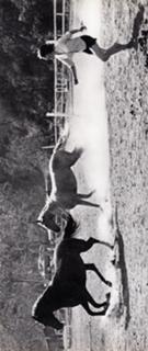 Paula Prentiss feet photo 6
