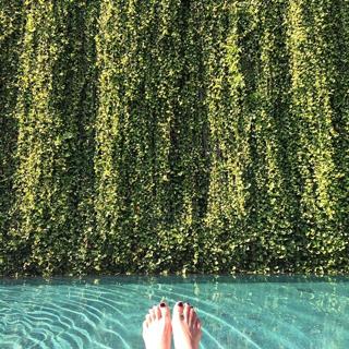 Paula Taylor feet photo 5