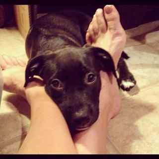 Paula Trickey feet photo 1