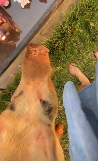 Paula Von Sperling feet photo 9