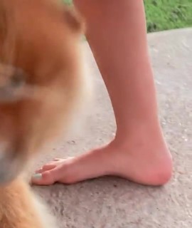 Paula Von Sperling feet photo 2