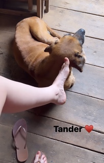 Paula Von Sperling feet photo 12