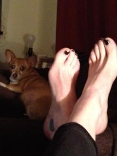Pauley Perrette feet photo thumbnail
