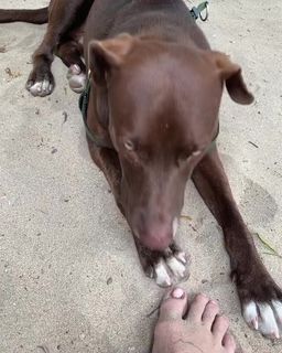 Paulina Dávila feet photo 3